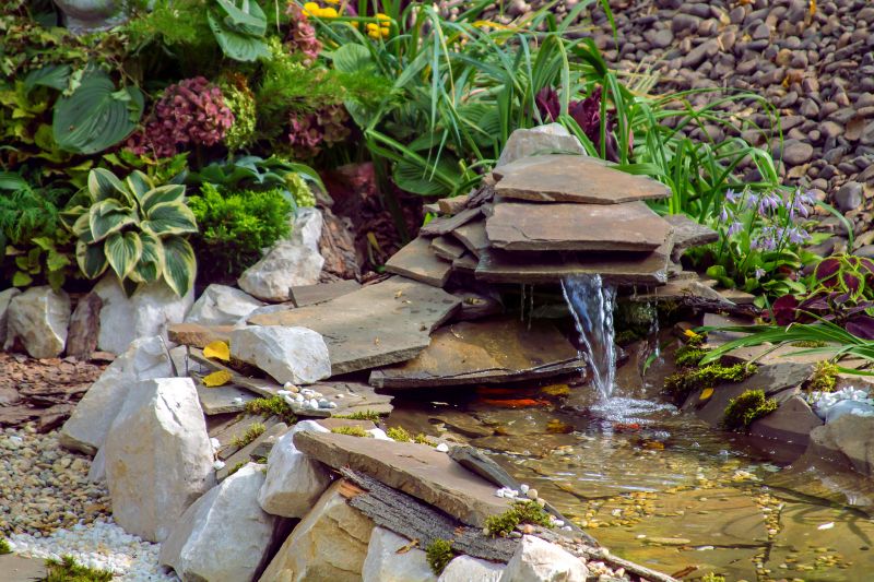 Pond Maintenance