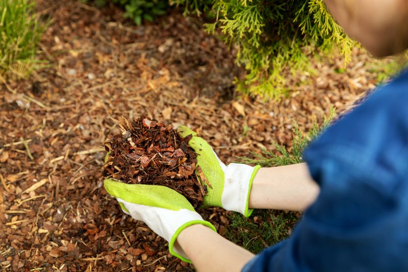Apartment Mulching in Honolulu, HI