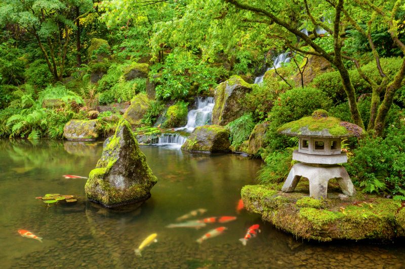 Fish Pond Installation in Honolulu, HI