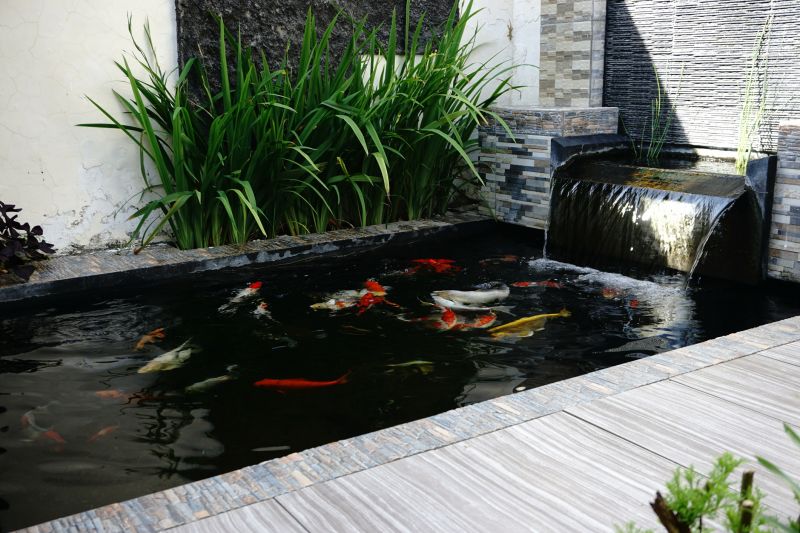 Koi Pond Maintenance in Honolulu, HI
