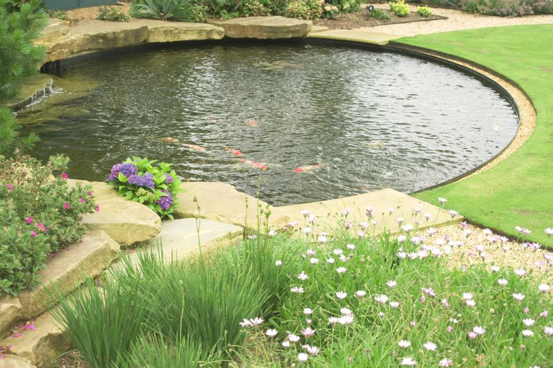 Koi Pond Maintenance in Honolulu, HI