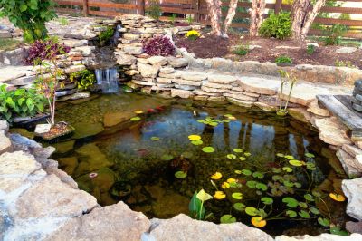 Pond Construction in Honolulu, HI