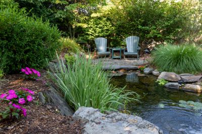 Pond Maintenance in Honolulu, HI