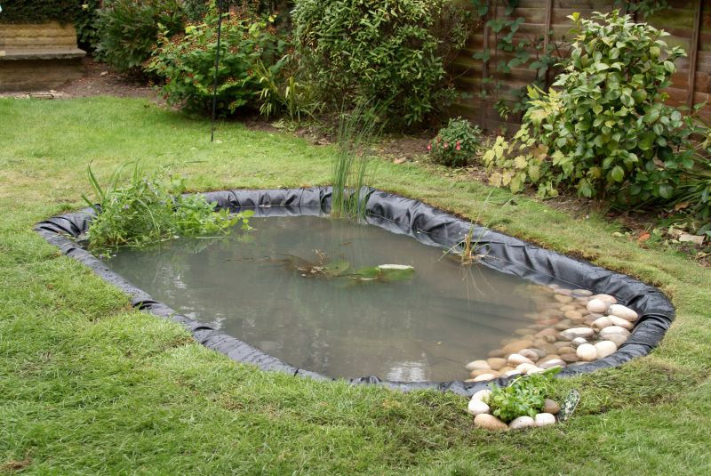 Pond Maintenance