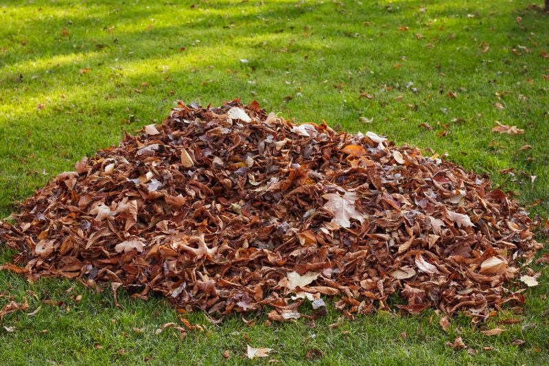 Fall Leaf Cleanup