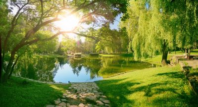 Keep Your Pond Maintained