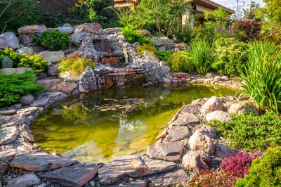 Pond Maintenance in Honolulu, HI