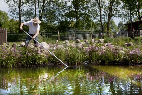 Pond Cleaning Service